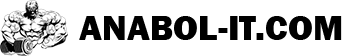 anabol-it.com