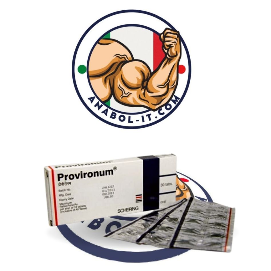 Provironum