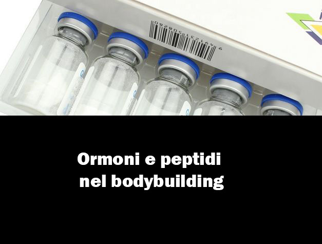 Ormoni e peptidi nel bodybuilding