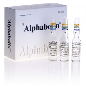Alphabolin in vendita su anabol-it.com in Italia | Methenolone enanthate (Primobolan depot) in linea